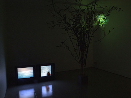 Liz Harrison, Idyll (installation with sculpture, video projection and video loops