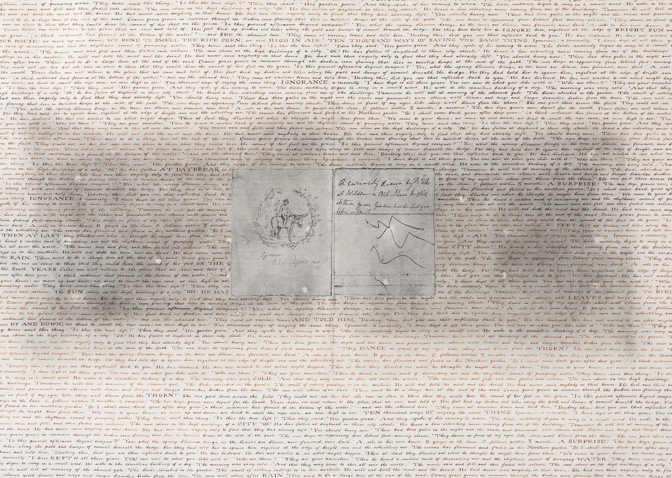 Simon Lewty<br />
Ignorance, a curiosity, 2003 (detail)<br />
Acrylic on paper, 170 x 170 cm