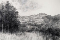 The Beautiful View by Bridget Macdonald