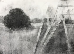 The Battlefield Oak by Bridget Macdonald