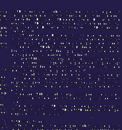 9/11 Official Report (Authorized Edition) II by Jack Milroy Image