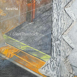 Cover Image of Silent Thresholds by Karel Nel